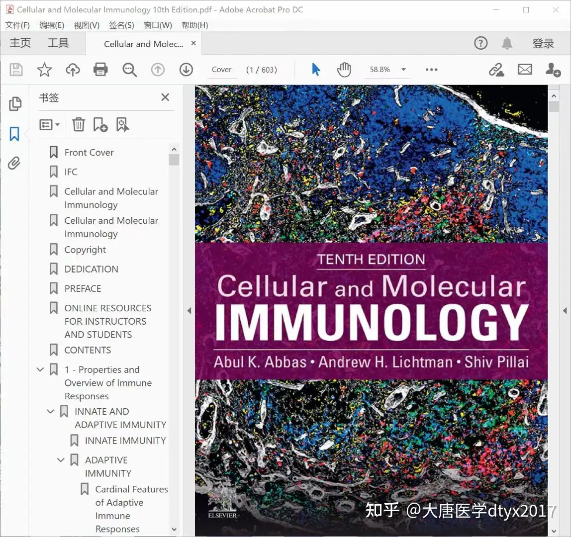 细胞与分子免疫学第10版英文Cellular and Molecular Immunology 10th 
