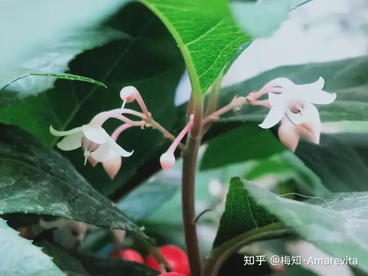 端午节：六月十四日，2021年，365日，一日七话题（6月14号端午节放假）