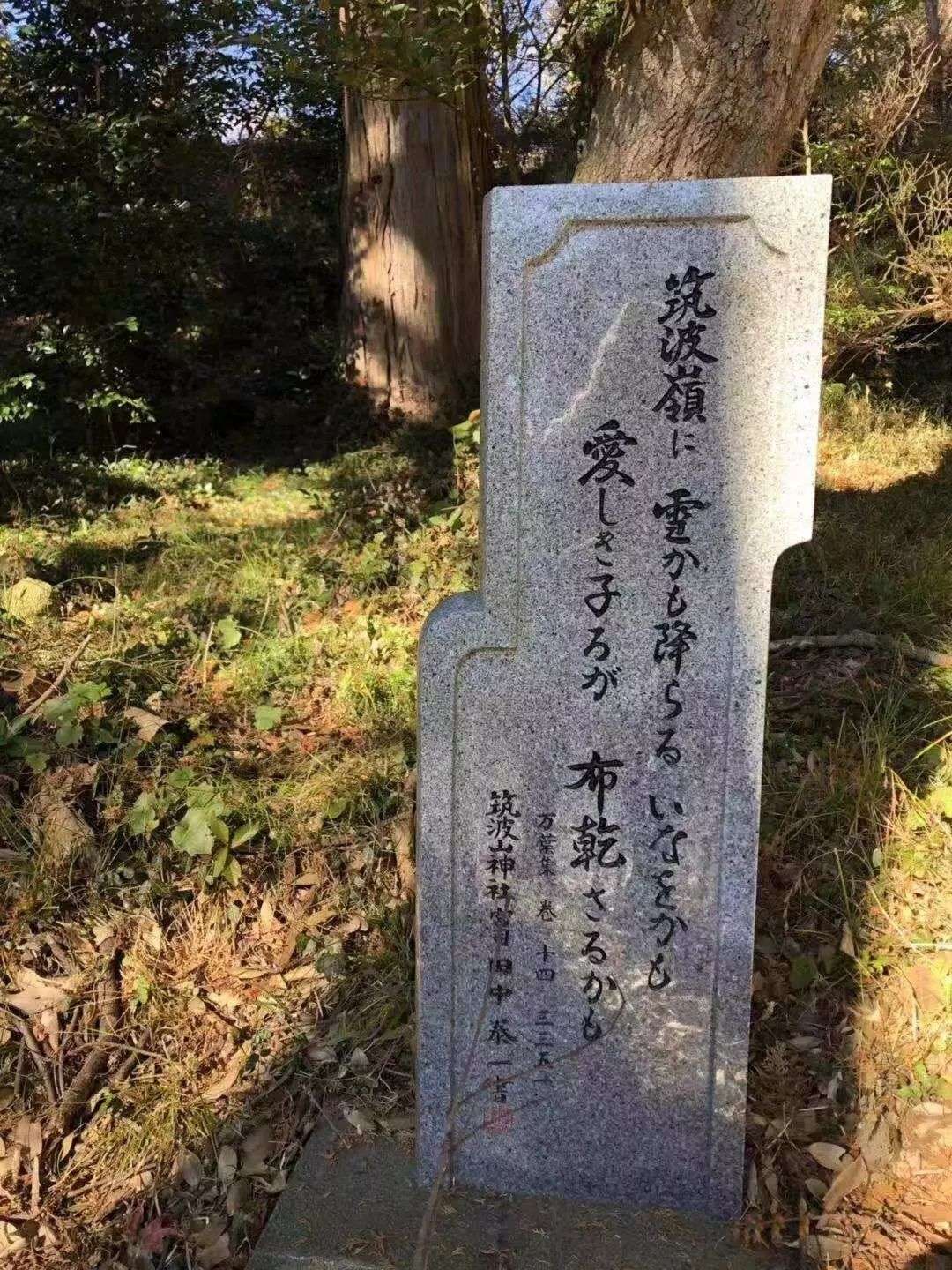 这流年似水无情 世间的温暖却不曾离去 知乎