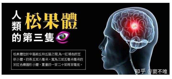 由盘古神话到人类起源之谜的猜想 十一 上帝的秘密 贤者之石与赤县神州 知乎