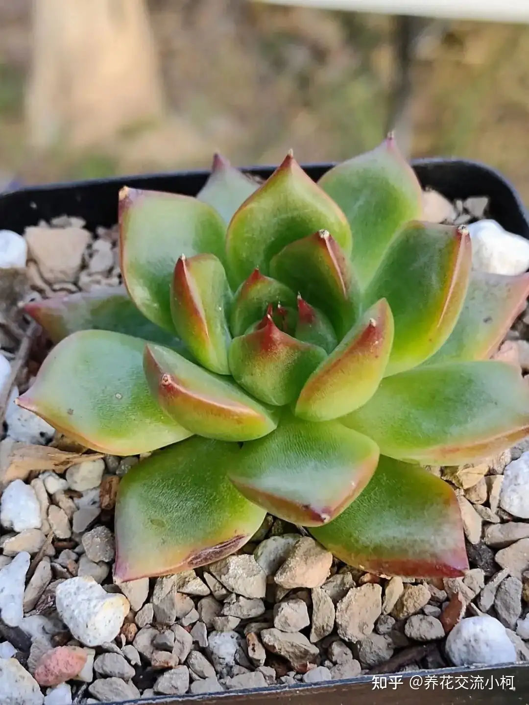 Zotrkrm3woe M Zotrkrm3woe M