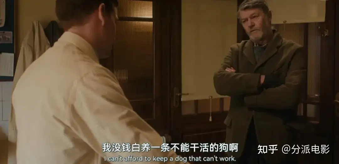 《万物生灵第六季》豆瓣9.4，秋季限定神剧回归！