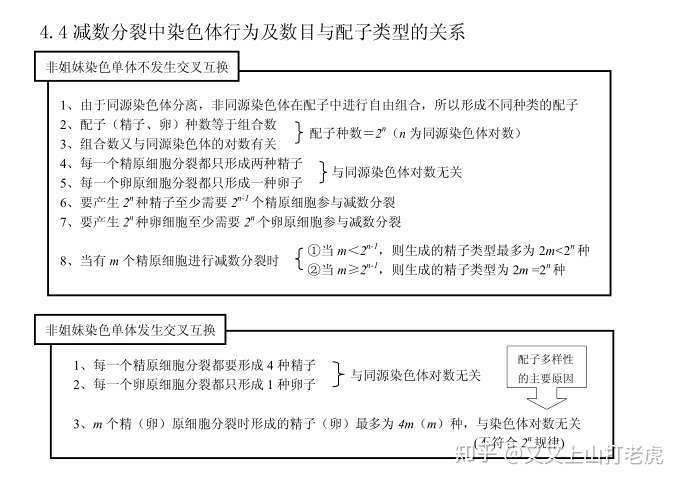 干货l高三第二轮复习生物知识结构网络 六 知乎