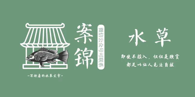 水草入缸前如何检疫 你不会等到你的缸出现涡虫或囊螺才想起这件事吧 知乎