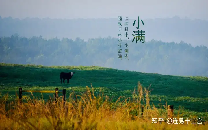 【24节气详解】小满-附养生精要