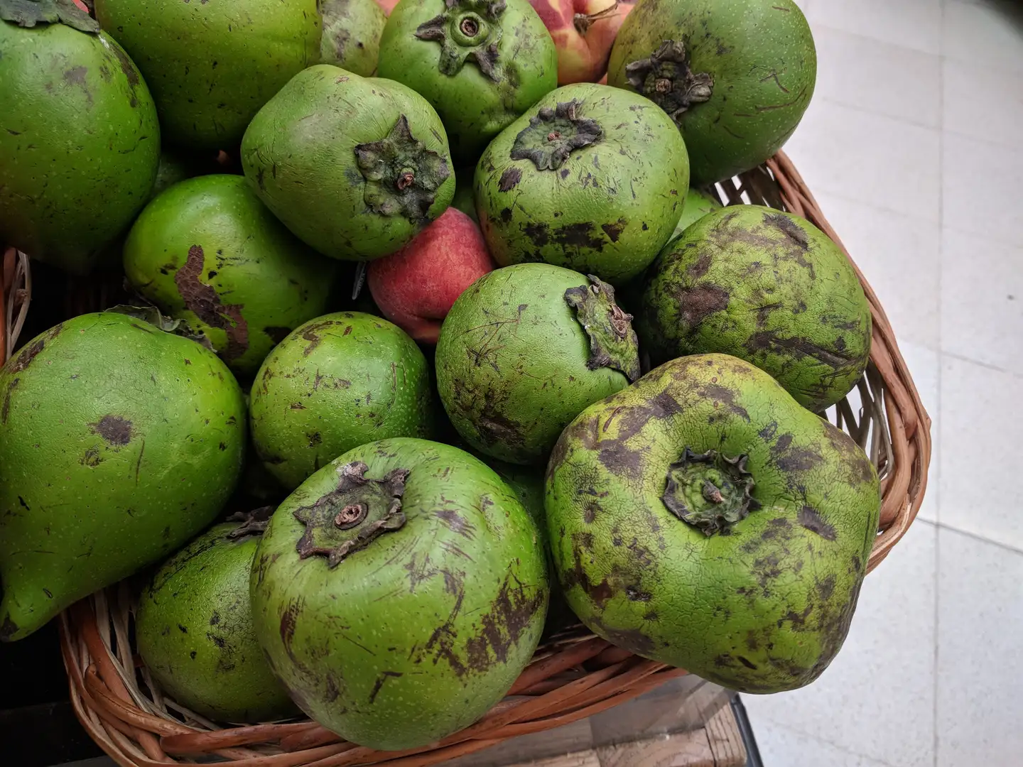 Sapote 中文