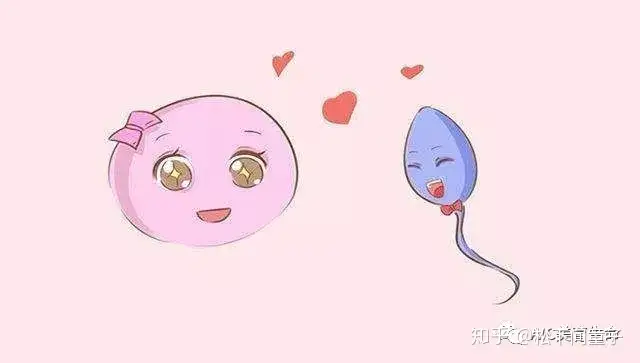 如何区分是 大姨妈 来了还是着床成功了 知乎