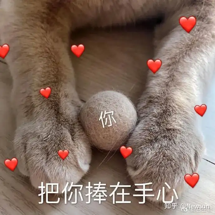 100句520文案，很甜，也很走心！