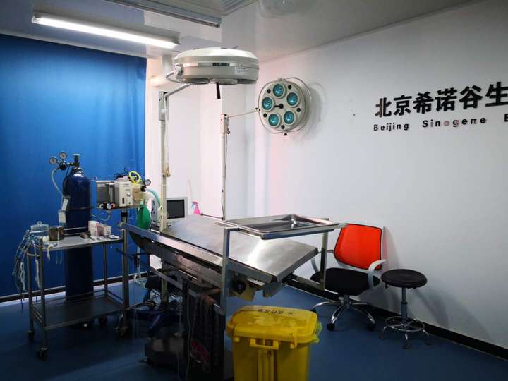 到底什么样的人会花三十多万克隆自己的宠物?