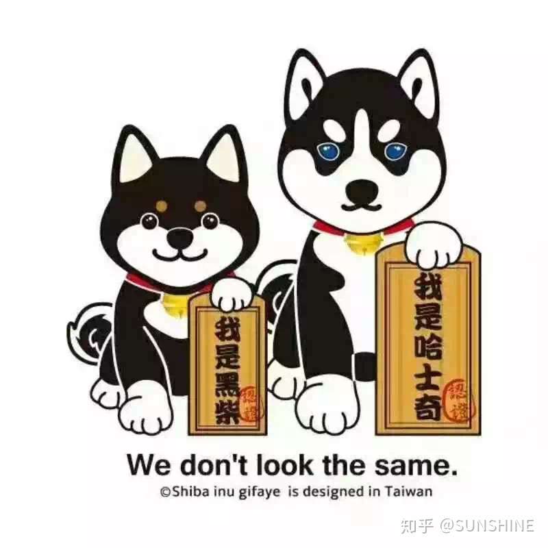 柴犬小讲堂 柴犬鉴别之毛色篇 知乎