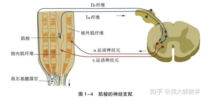 涯姿肌兜沸能源请自原誊(图3)