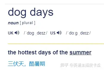 dog是狗days是日子那么dogdays是什么意思