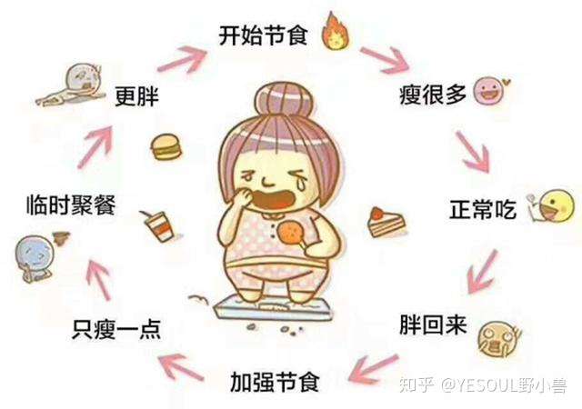 节食减肥,反弹的厉害吗?