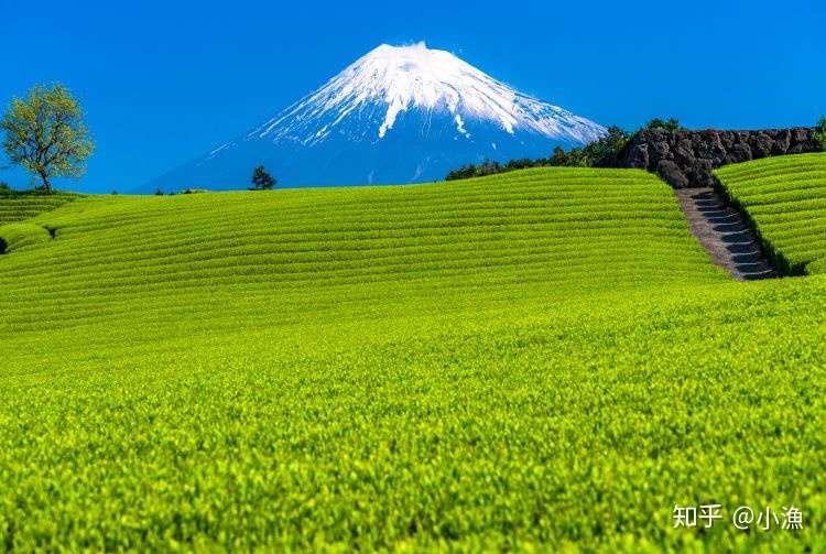 看日本 富士山 30 个观赏富士山的最佳地点 知乎