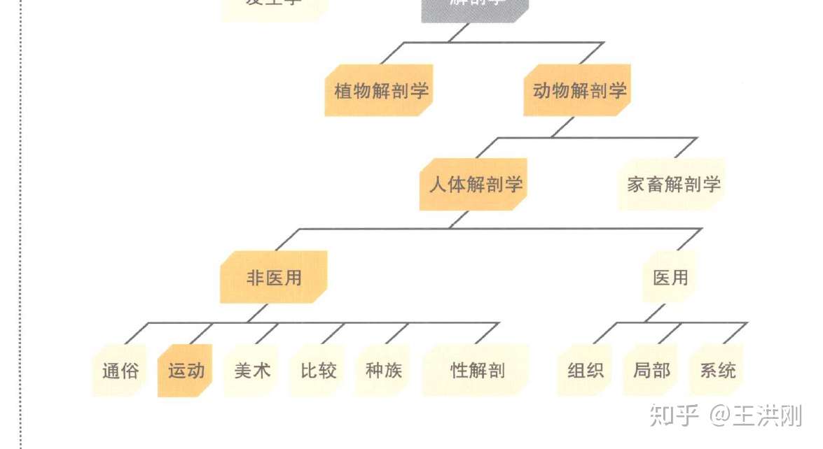 运动解剖答疑 兼谈书的读法 知乎