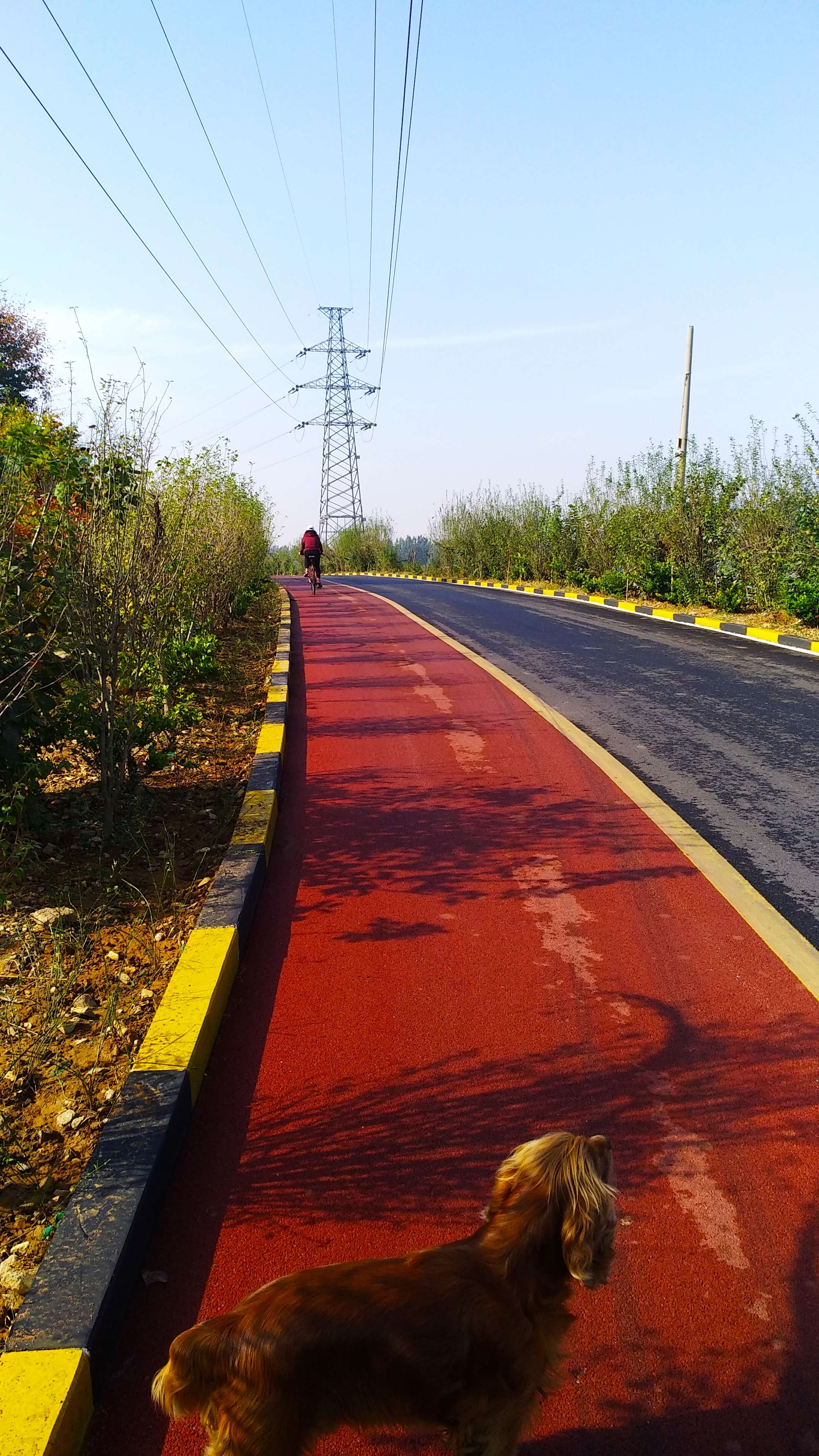 大宝去汪星了今天看到灵媒ruowenhuang的一篇文章,分享给失去爱宠的