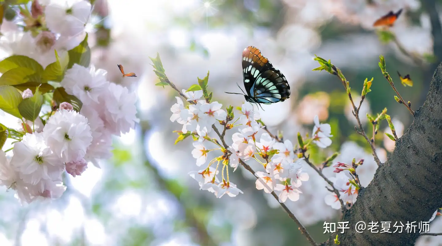 能力配不上野心，注定是一场灾难- 知乎
