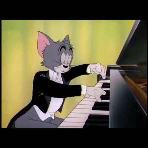 猫和老鼠弹钢琴图片