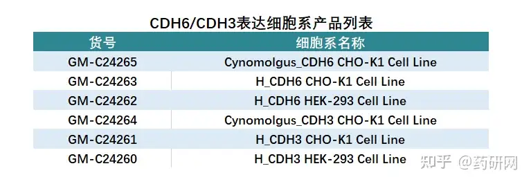 CDH6靶点进展：HKT288鹿死临床，DS-6000孤勇前行- 知乎