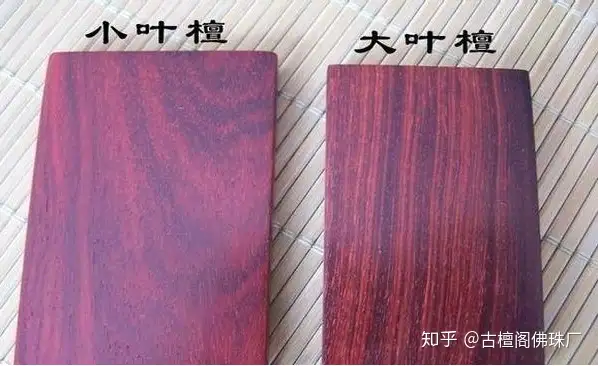 没想到（小叶紫檀和大叶紫檀有什么区别）小叶紫檀和大叶紫檀鉴别，小叶紫檀和大叶紫檀区分 可不是一字之差就那么简单，中域教育，光荣的近义词是什么，