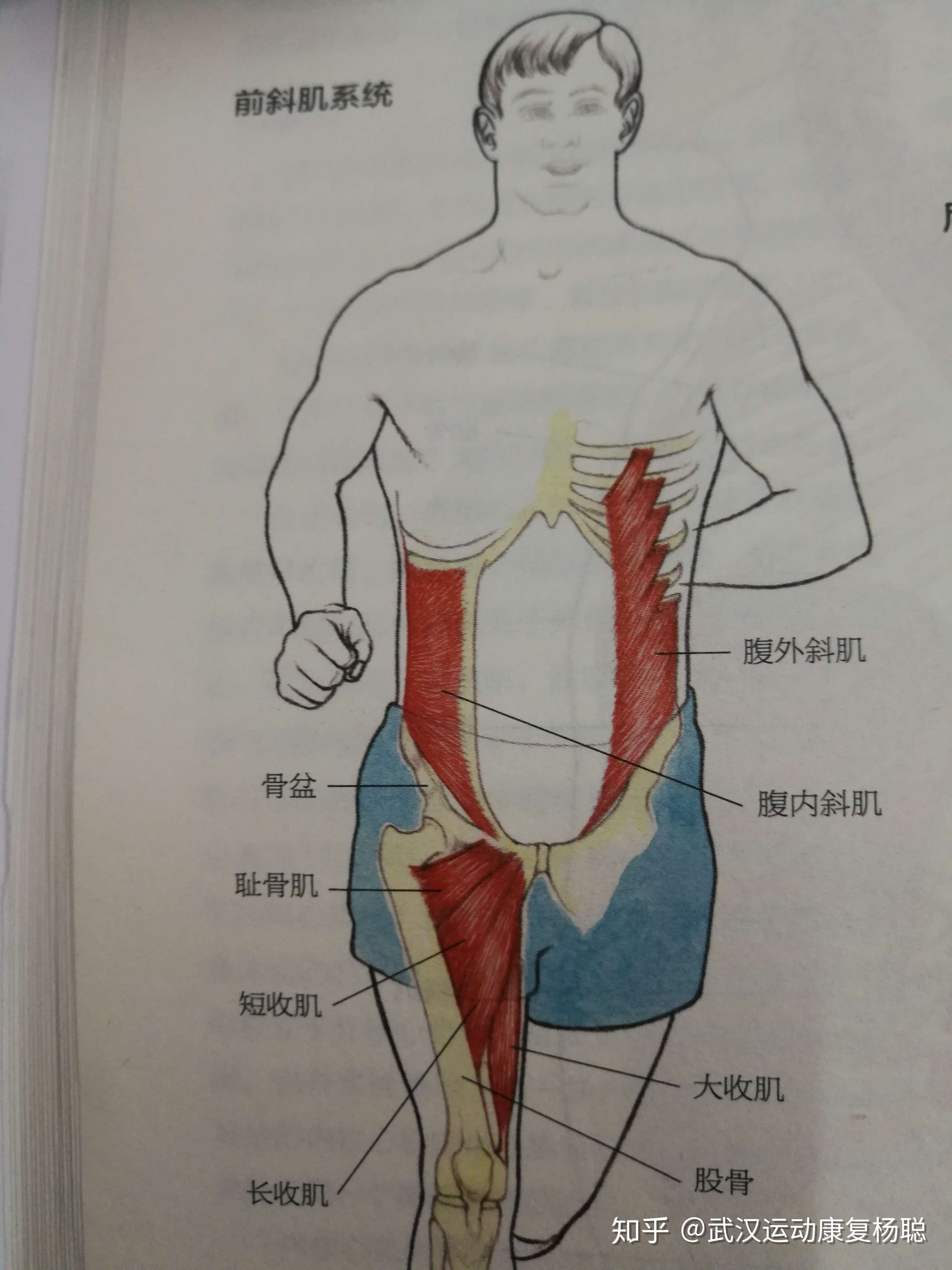 武汉运动康复杨聪
