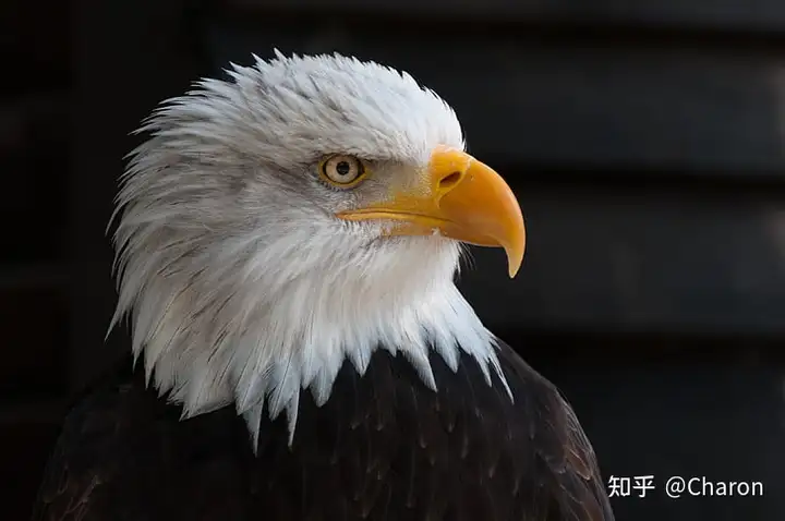 高考前，给自己加油打气好句