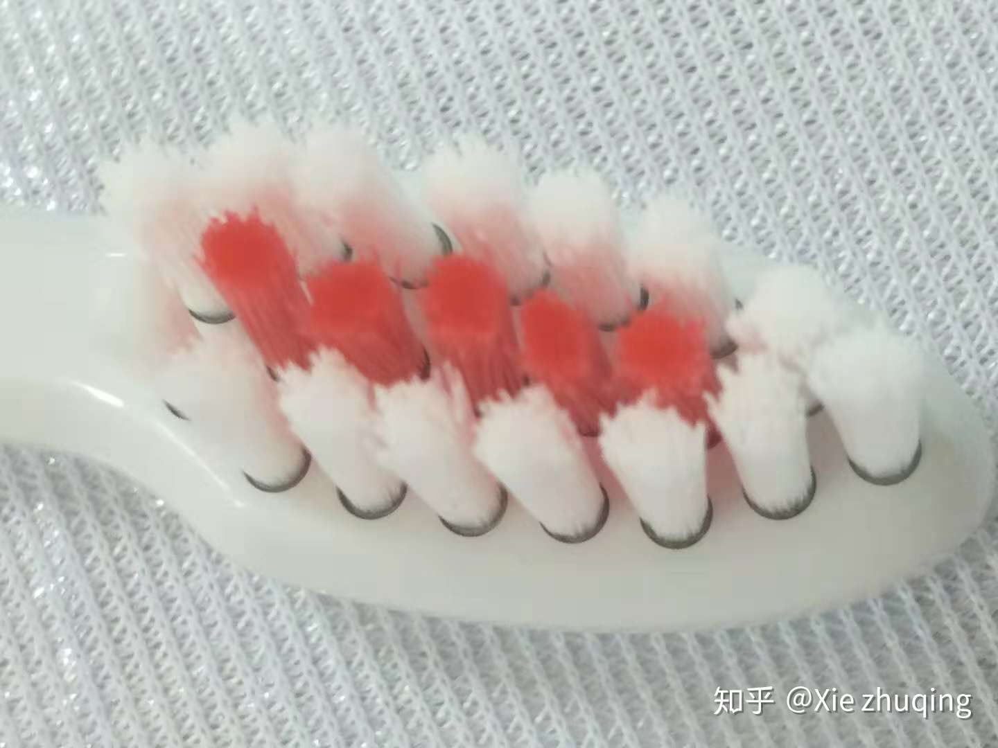 洁牙丽齿 我选菲莱斯牙刷 知乎 洁牙丽齿 我选菲莱斯牙刷 知乎