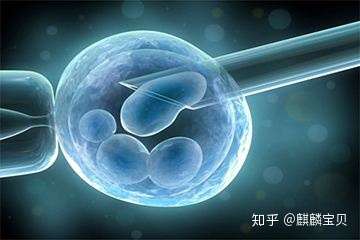 试管婴儿多次失败该如何是好?插图(3) v2-4e407cee3fc8e01ff42d417a89775d6e_720w.jpg插图(3)