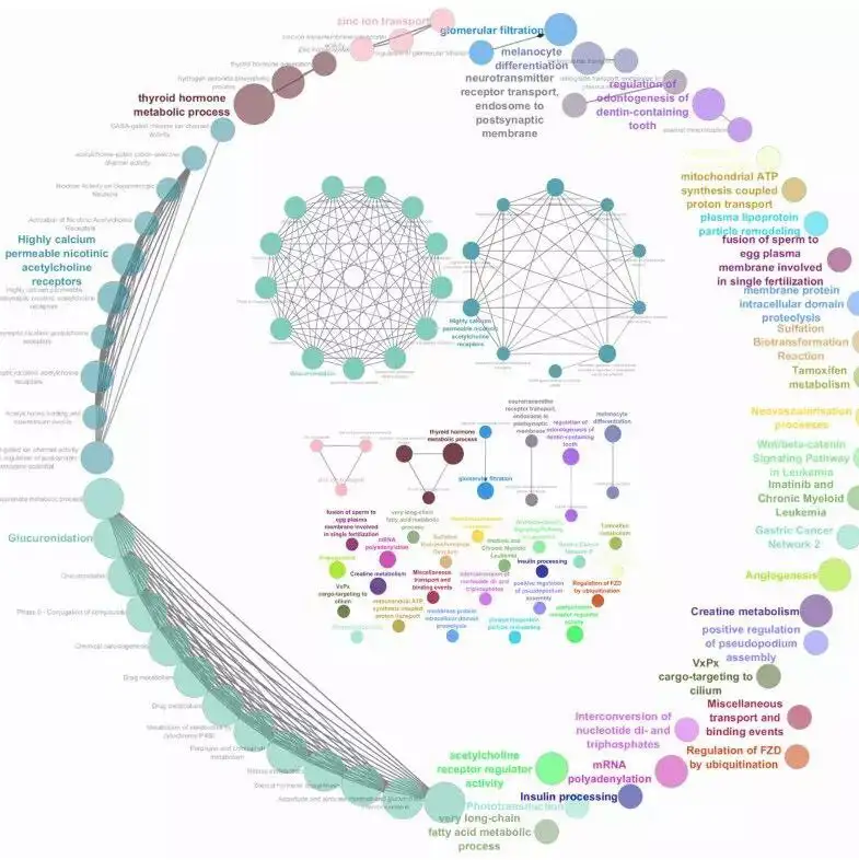 新录制了一个Cytoscape整合富集分析和基因表达的网络图绘制- 知乎