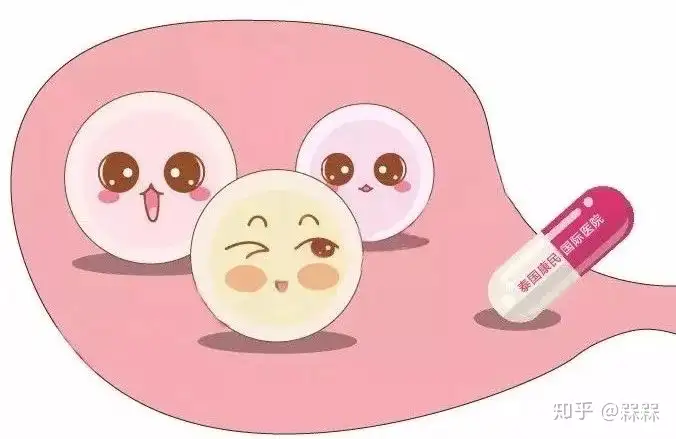 成都供卵试管助孕机构（试管婴儿的常用术语）