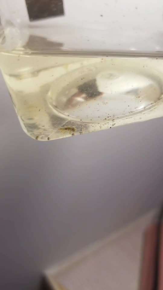 v2-4ee19ddeb5e3cb0b14e918b60cc21a94_bh.jpg?source=1940ef5c