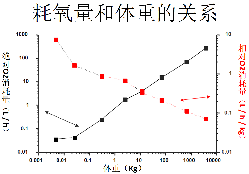 Pml系列 4 简单的异速缩放 1 知乎