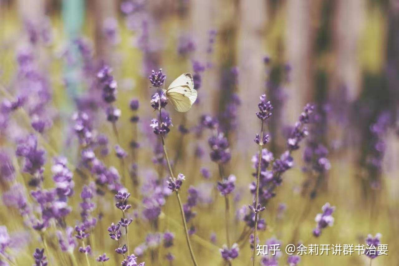 没有恩义 道义 情义的心 怎么会交到真正的朋友 知乎