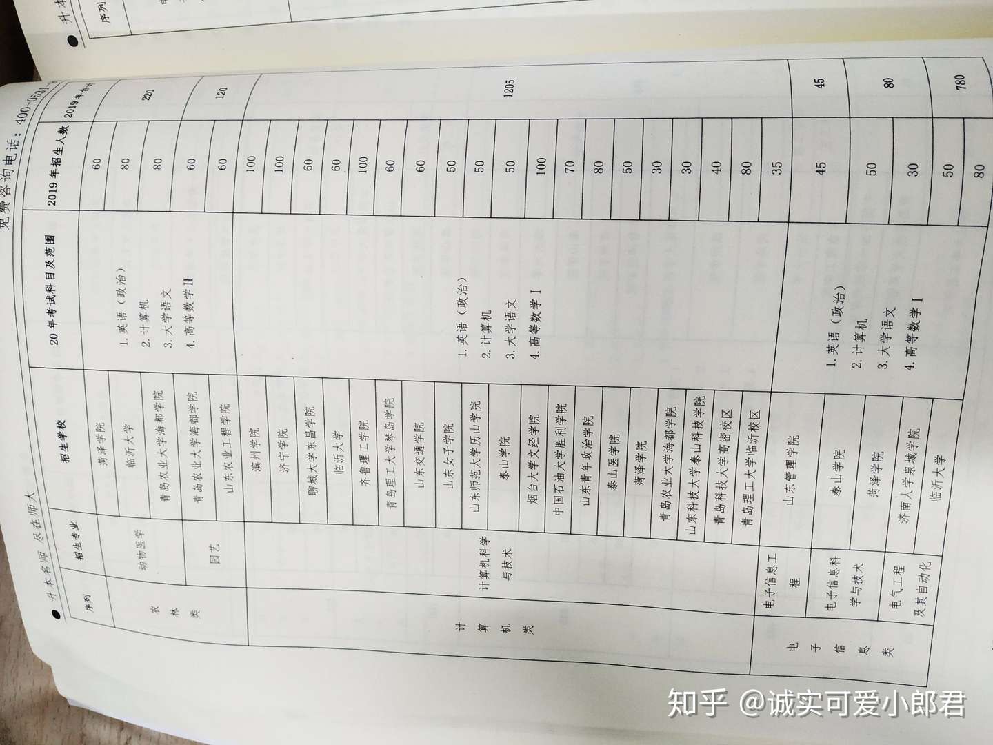 山东专升本 知乎