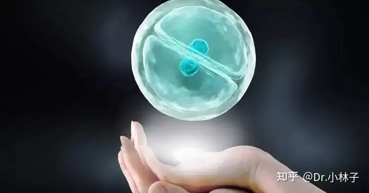 上海三代试管婴儿（真没想到）