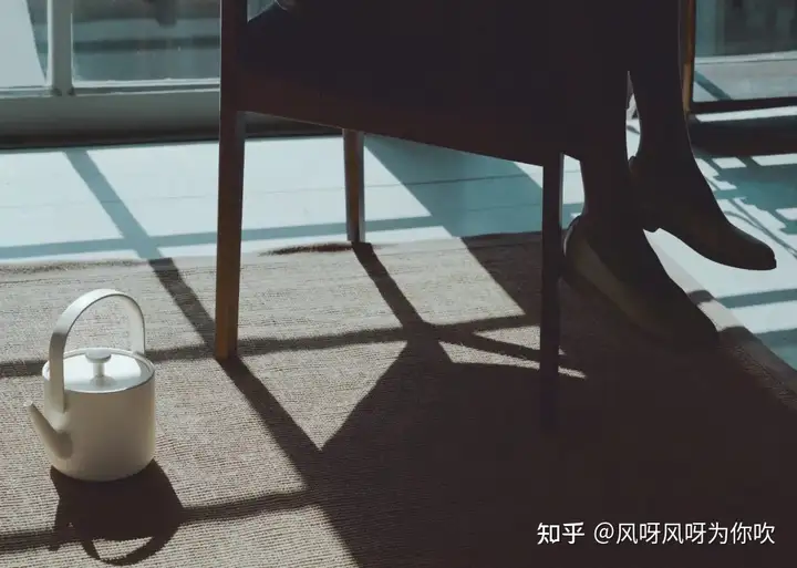 電熱水壺什么牌子質(zhì)量好，2023年電熱水壺—電茶壺推薦選購指南及品牌推薦