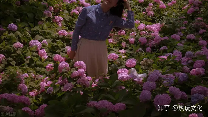 爱的花语之郁金香