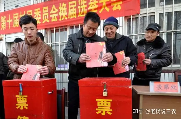 下半年起，国家将集中整治农村这3大乱象，件件都与村干部有关！