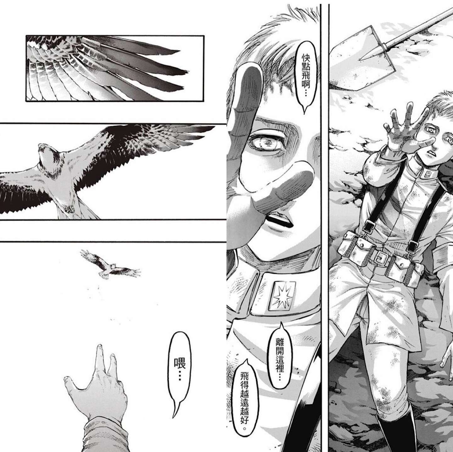 进击的巨人 漫画 关于法尔科 柯尔特兄弟的预测整理 知乎
