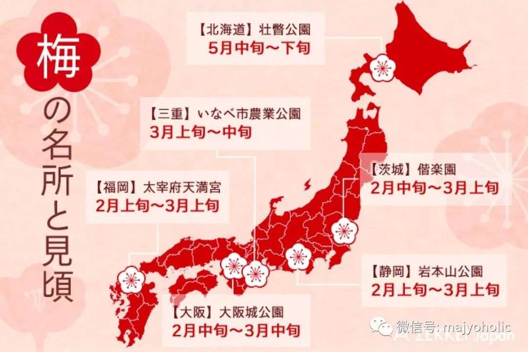 花見 梅花三月飞东瀛 日本赏梅攻略 知乎