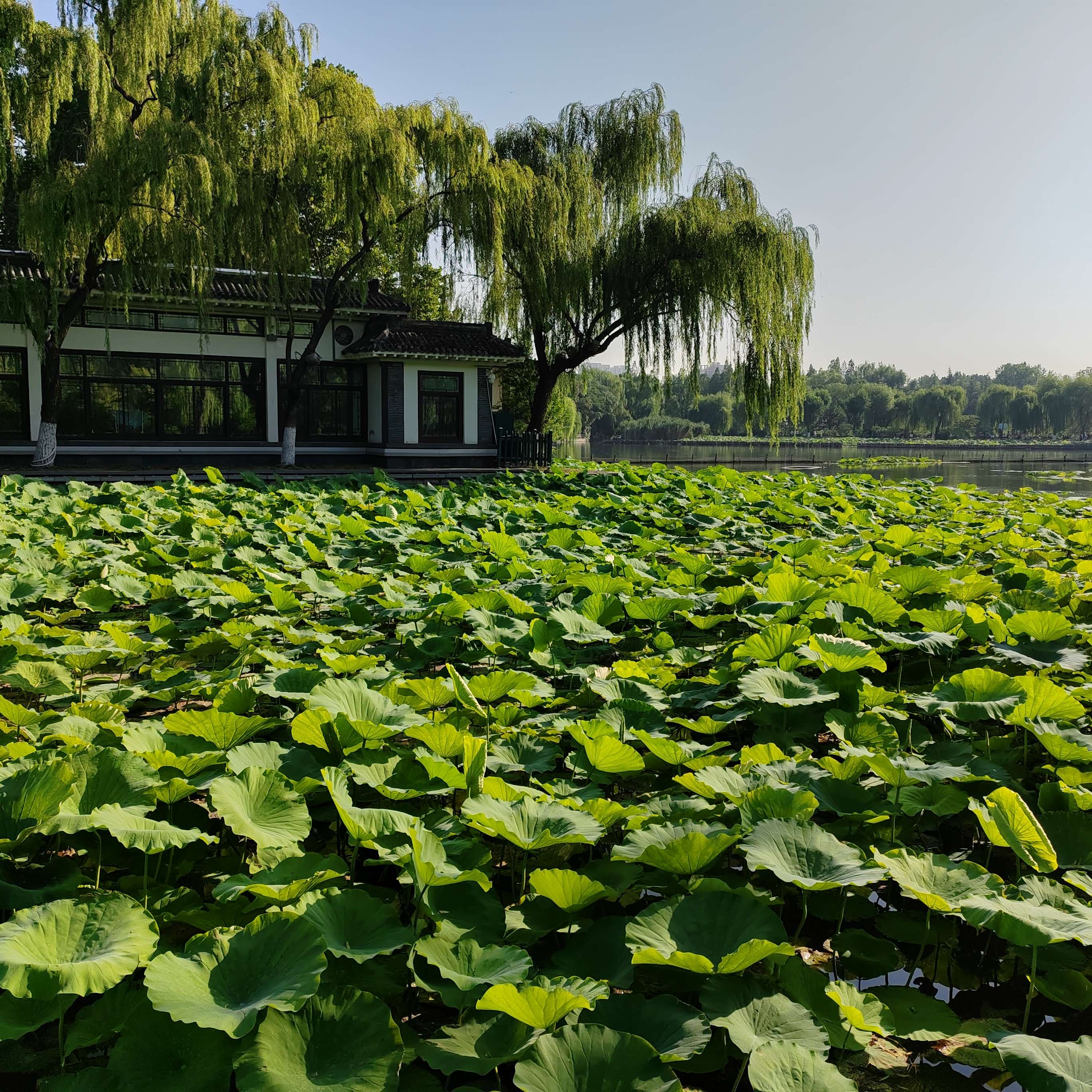 借我一双慧眼 的想法  夏天去哪里避暑凉快呢?