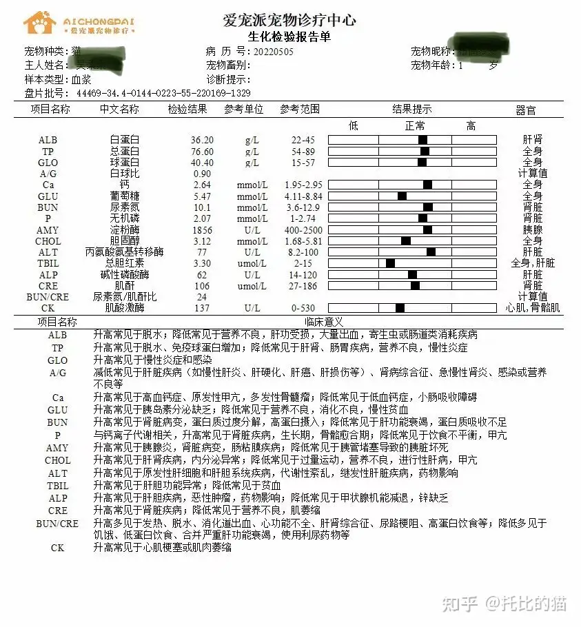 猫传腹平价441治疗过程分享避免大家踩坑 知乎