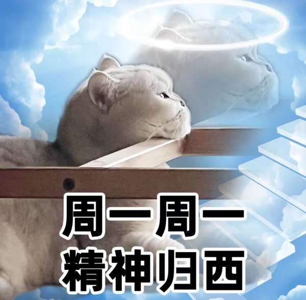 meme星云 的想法: 周一周一，_____ | 周一周一，我的头七 … - 知乎