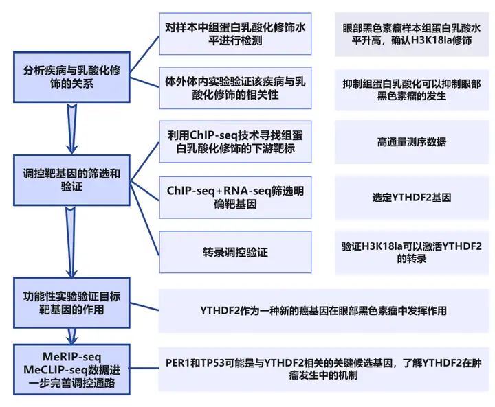 《2024国自然热点—组蛋白乳酸化修饰在肿瘤研究中的思路》