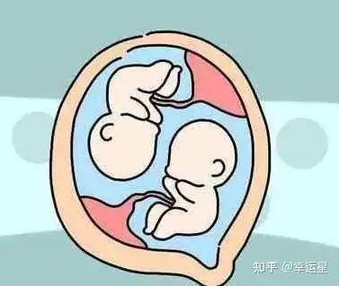 借卵公司（30岁卵巢功能不好国内哪里可以做试管婴儿?）