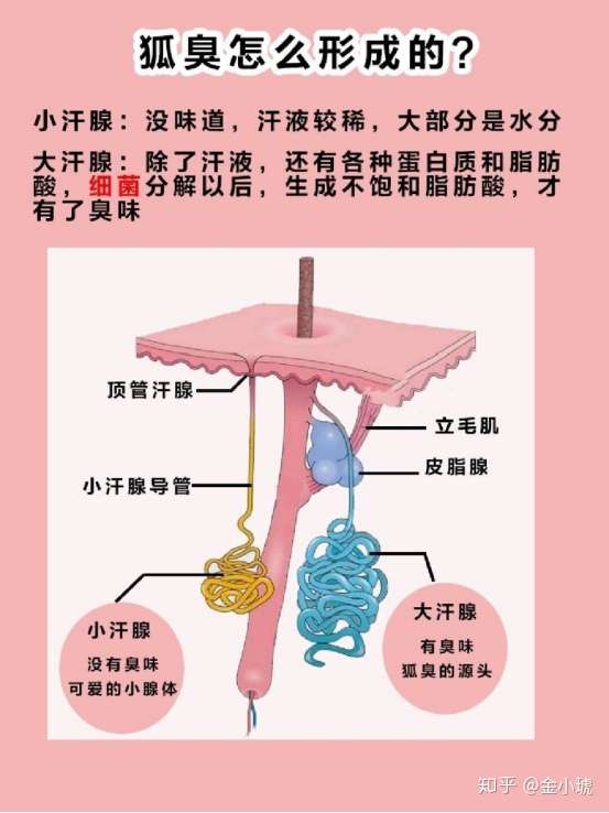 女朋友是处女,而且很单纯,人漂亮,学历,家教,性格,人品都很好?