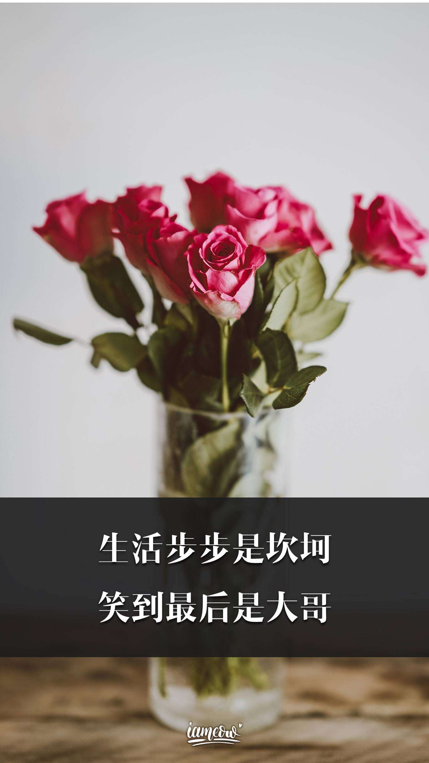 炫彩壁纸秀app 每日一组美图壁纸 励志格言 知乎