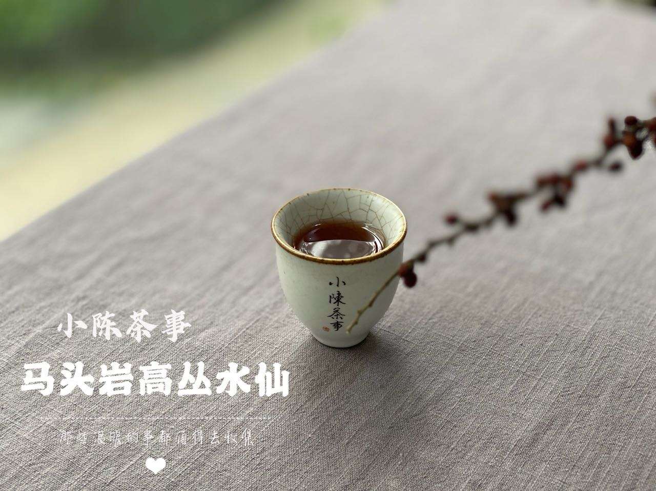村姑陈说茶