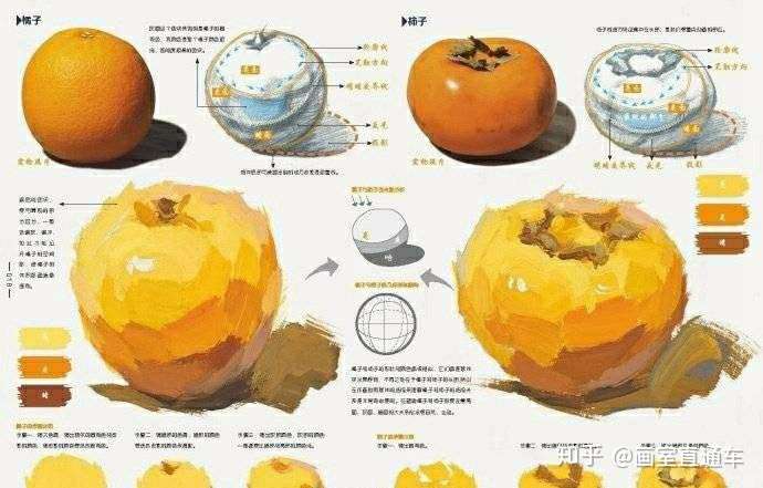 色彩静物单个物体细致教学