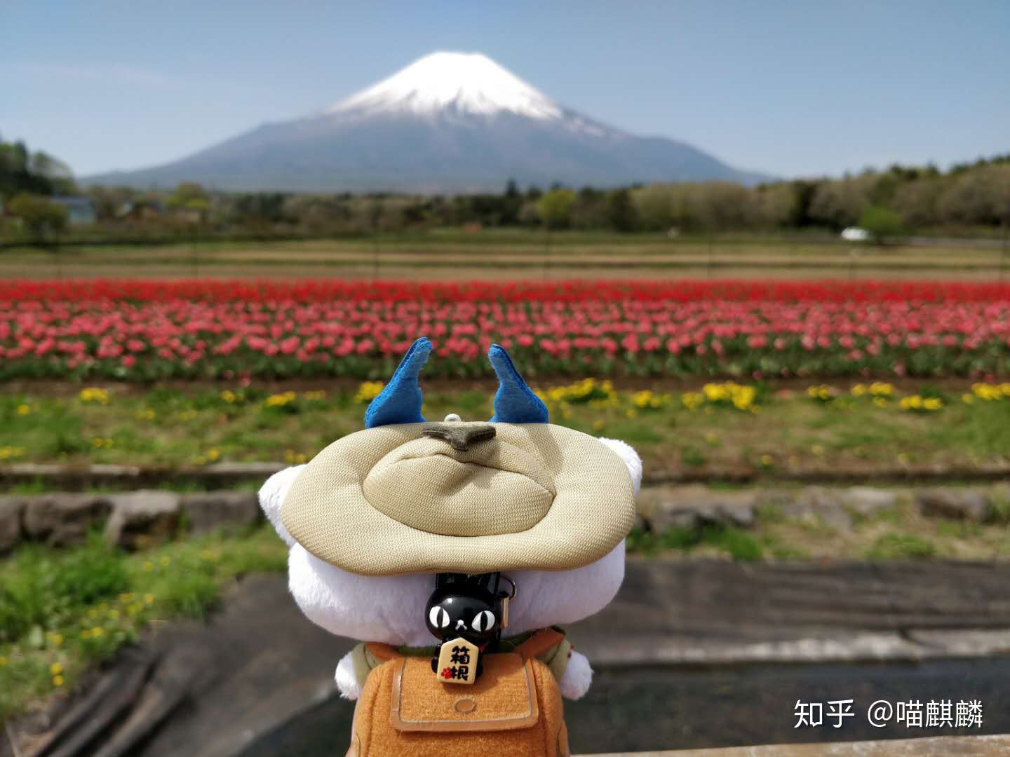 旅游攻略 箱根富士山三日游 知乎